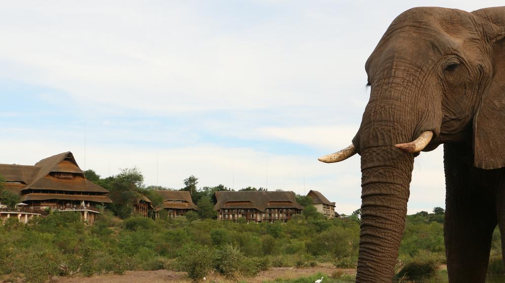 Victoria Falls Safari Suites Kültér fotó