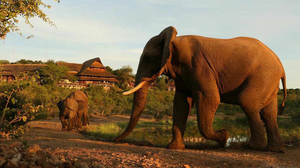 Victoria Falls Safari Suites Kültér fotó
